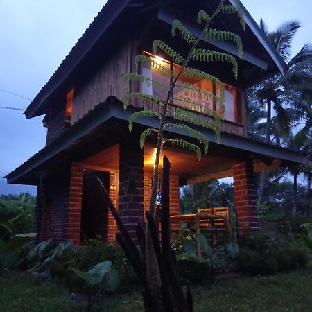 Coconut Homestay Tetebatu Kültér fotó