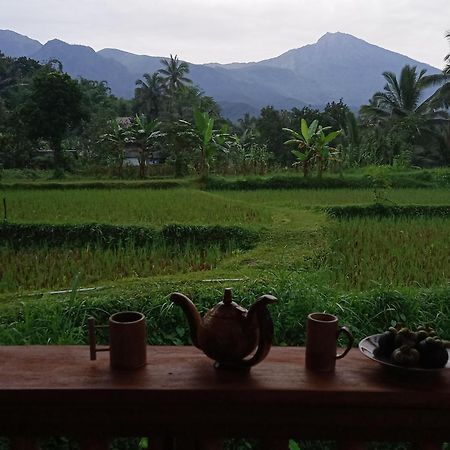 Coconut Homestay Tetebatu Kültér fotó