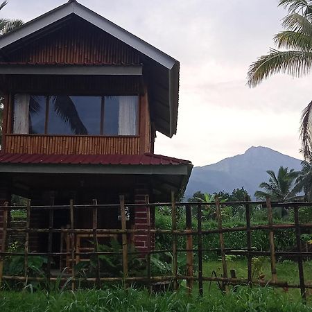 Coconut Homestay Tetebatu Kültér fotó