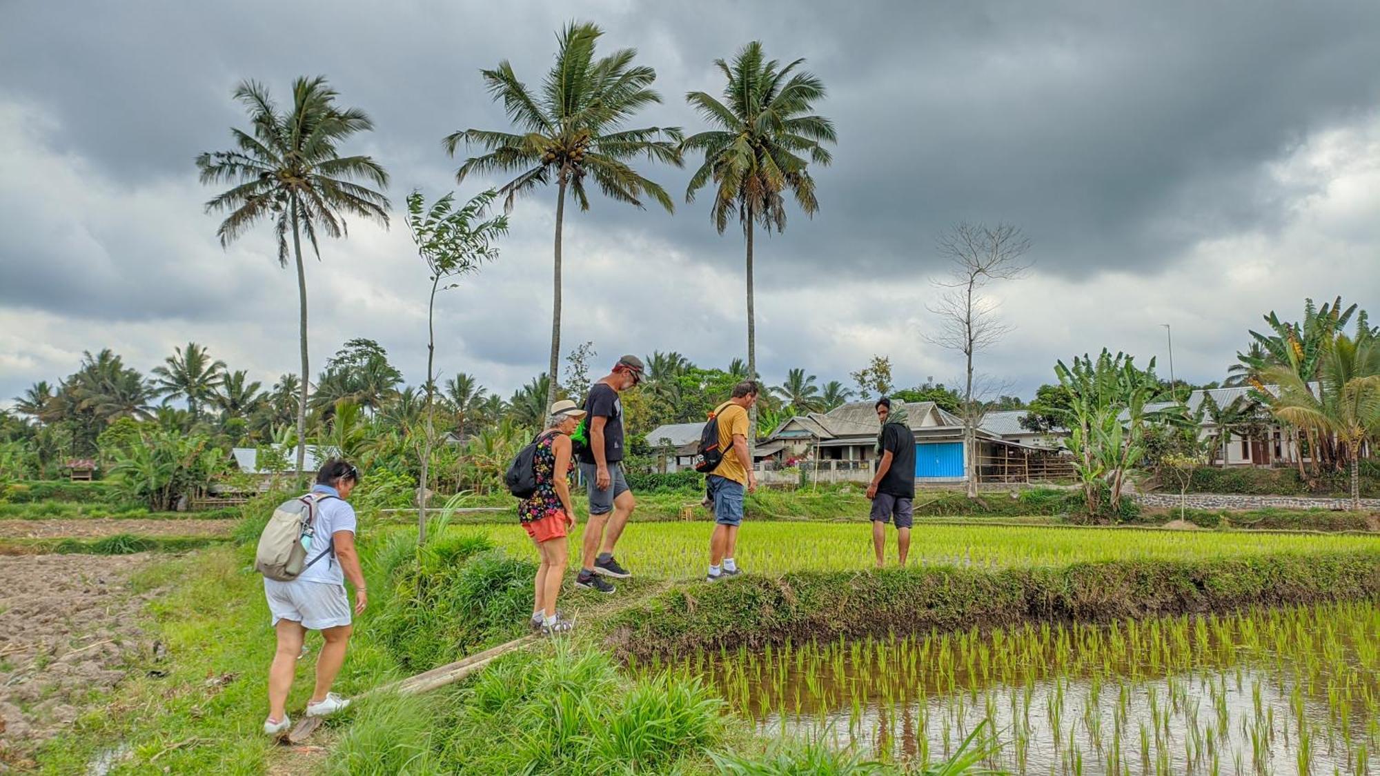 Coconut Homestay Tetebatu Kültér fotó