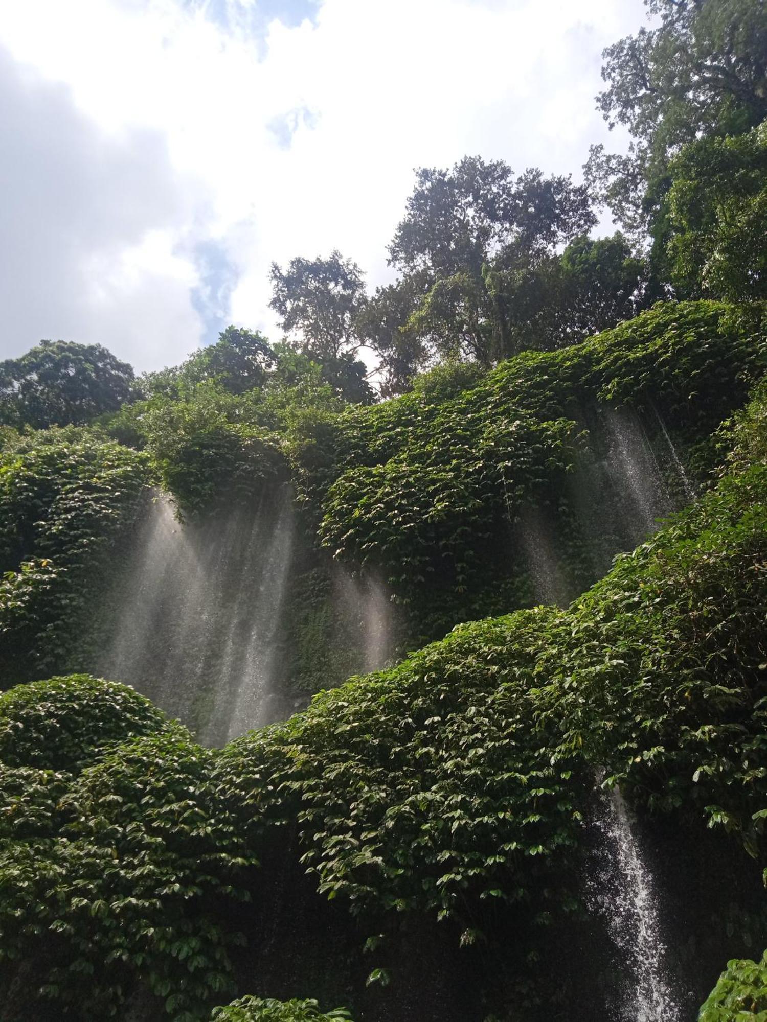 Coconut Homestay Tetebatu Kültér fotó