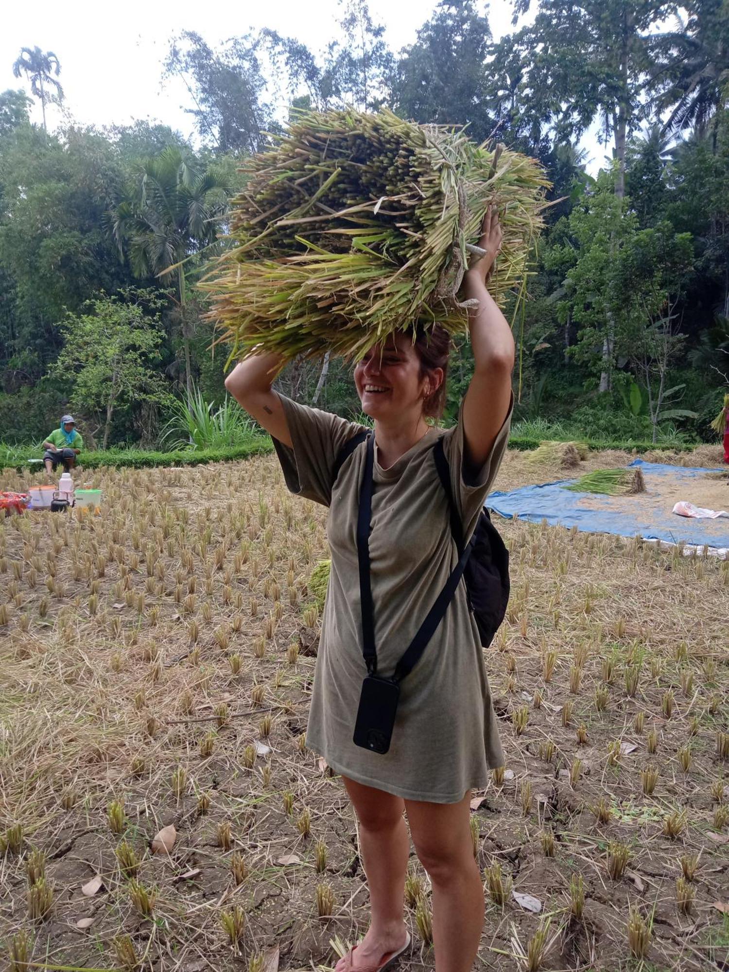 Coconut Homestay Tetebatu Kültér fotó