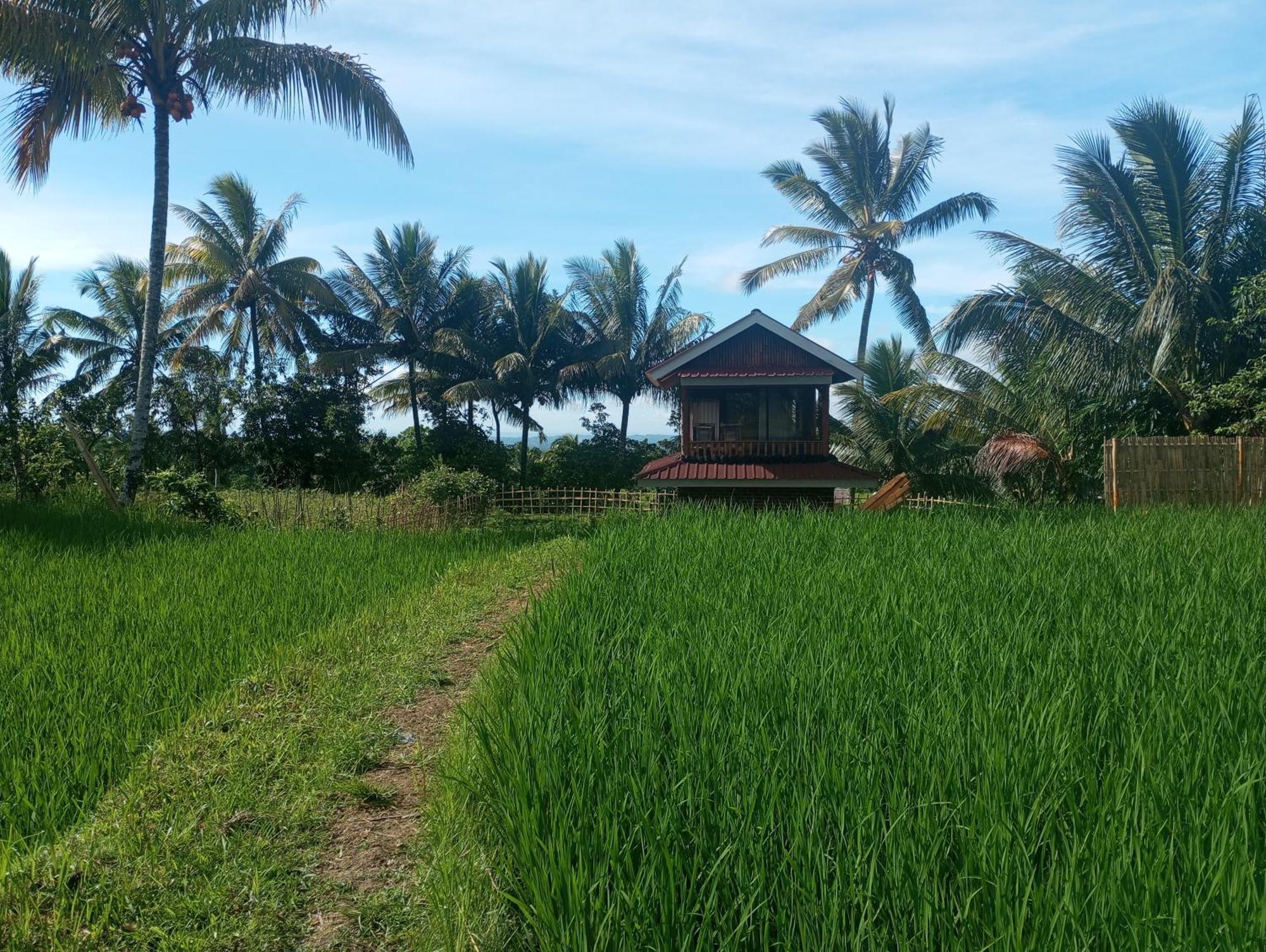 Coconut Homestay Tetebatu Kültér fotó
