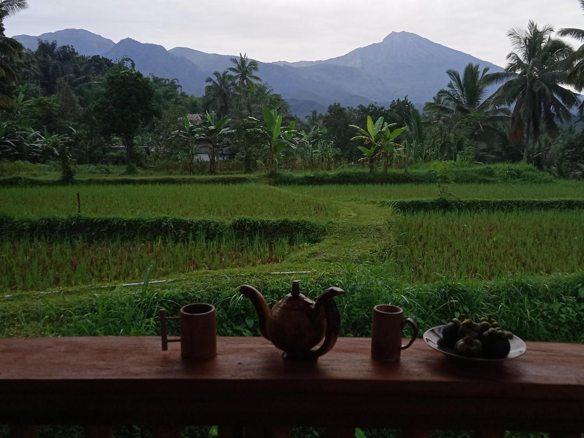 Coconut Homestay Tetebatu Kültér fotó