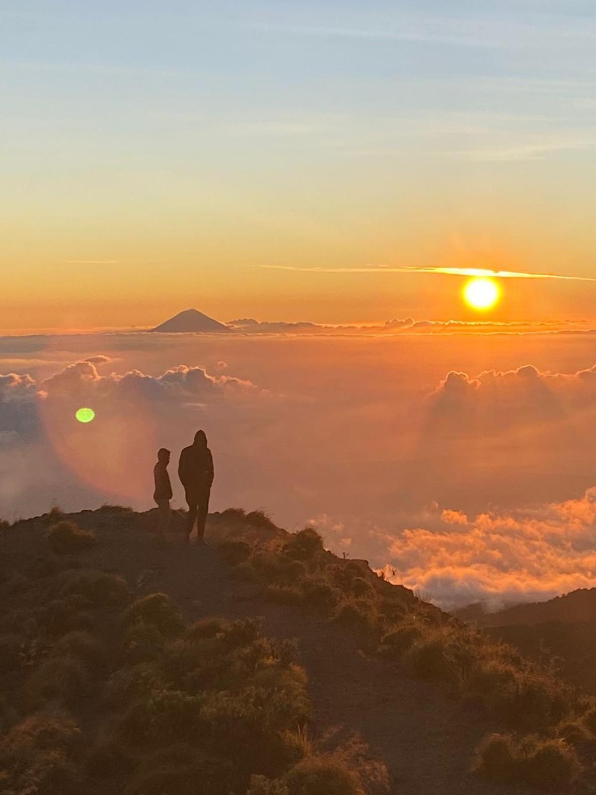 Coconut Homestay Tetebatu Kültér fotó